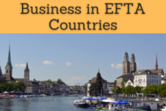 Module Business in CEFTA Countries