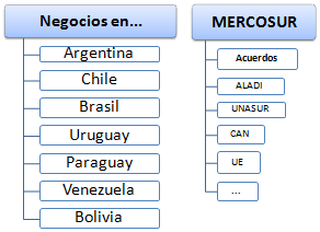 Negocios en América del Sur (Curso) Argentina, Brasil, Paraguay, Uruguay, Chile