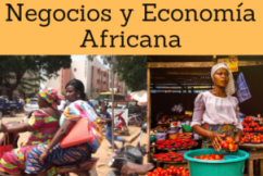 Formación Online (Doctorado Máster Curso): Negocios y Economía Africana