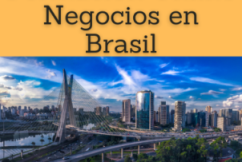 Formación Online (Doctorado Máster Curso): Negocios en Brasil