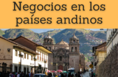 Formación Online (Doctorado Máster Curso): Negocios en en los países andinos