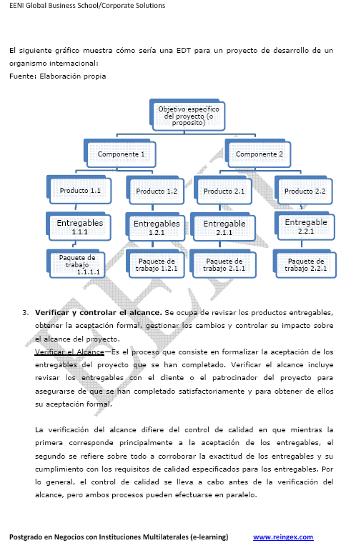 direcció de Projectes