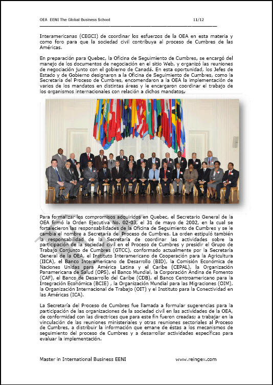 Organització dels Estats Americans