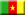 Cameroon, Masters, International Business Trade