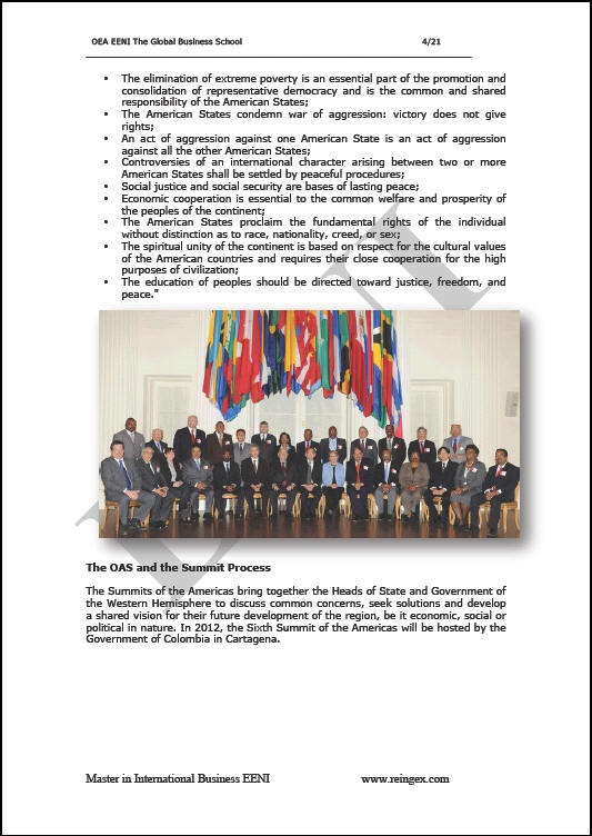 Organisasi Negara-negara Amerika (OAS)