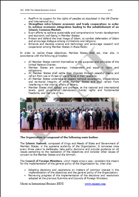 Organizzazione della cooperazione islamica (OCI)