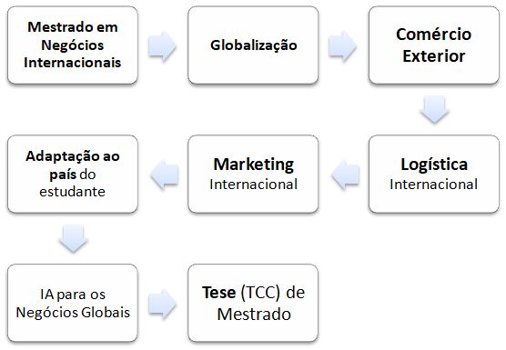 Mestrado à distância online em Negócios Internacionais (MIB)