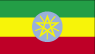Masters International Business in Ethiopia